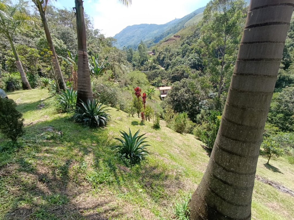 Finca en Barbosa · Vereda Dos Quebradas · Vereda Dos Quebradas — foto 24