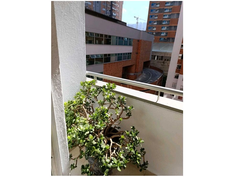 Apartamento en Medellín · Barrio Colombia(Ciudad del Río) · El Poblado — foto 16